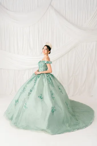 Cinderella Couture 8060J Beaded Embo Lace On Tulle #1 frontface vertical thumbnail