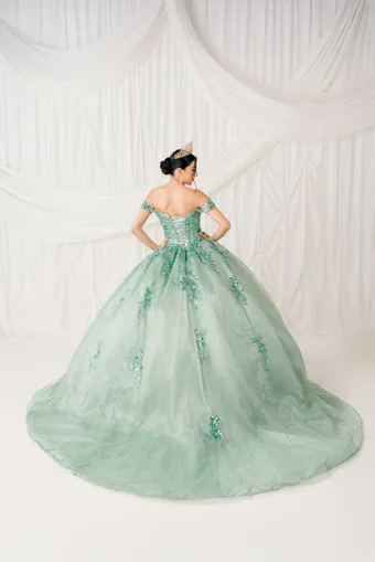 Cinderella Couture 8060J Beaded Embo Lace On Tulle #2 default backface vertical thumbnail