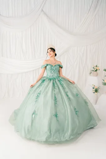 Cinderella Couture 8060J Beaded Embo Lace On Tulle #0 default frontface vertical thumbnail