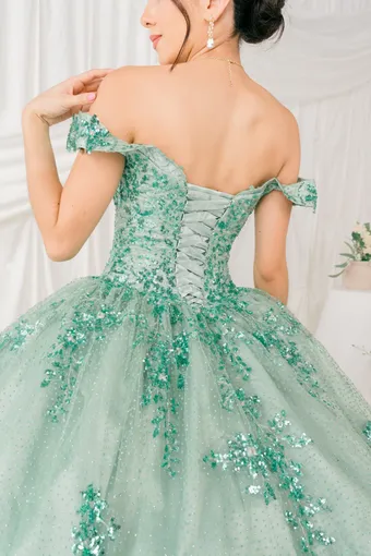 Cinderella Couture 8060J Beaded Embo Lace On Tulle #6 backface vertical cropped thumbnail