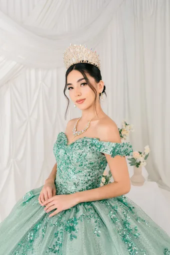 Cinderella Couture 8060J Beaded Embo Lace On Tulle #3 frontface vertical cropped thumbnail