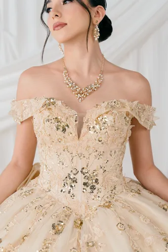 Cinderella Couture 8111J 3D Applique Lace Embo Beades On Tulle #5 frontface vertical cropped thumbnail