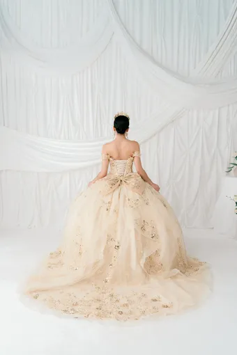 Cinderella Couture 8111J 3D Applique Lace Embo Beades On Tulle #1 backface vertical thumbnail