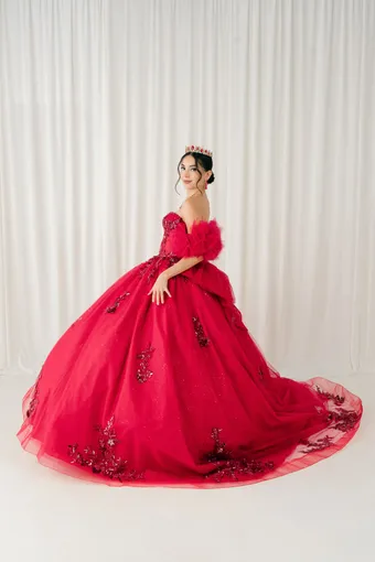 Cinderella Couture 8380JQ 3D Embo Beads Lace On Tulle #5 frontface vertical thumbnail