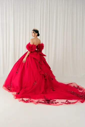 Cinderella Couture 8380JQ 3D Embo Beads Lace On Tulle #8 default backface vertical thumbnail