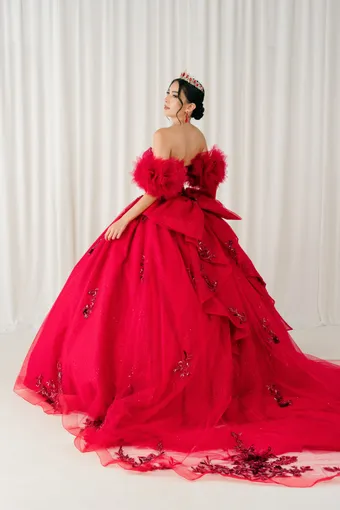 Cinderella Couture 8380JQ 3D Embo Beads Lace On Tulle #7 backface vertical thumbnail