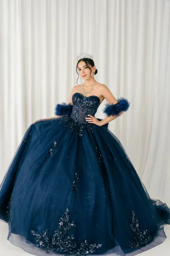 Cinderella Couture 8380JQ 3D Embo Beads Lace On Tulle #3 frontface vertical thumbnail