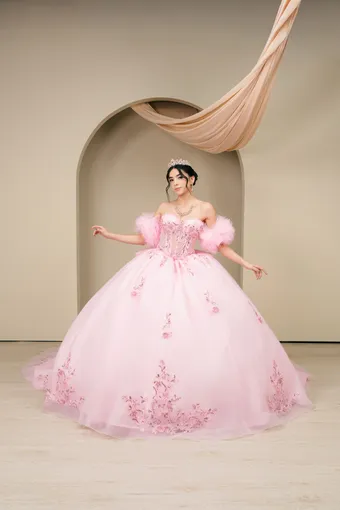 Cinderella Couture 8380JQ 3D Embo Beads Lace On Tulle #4 frontface vertical thumbnail