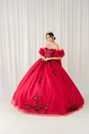 Cinderella Couture 8380JQ 3D Embo Beads Lace On Tulle #0 default frontface vertical thumbnail