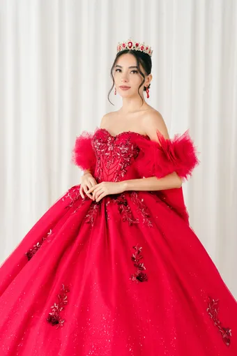 Cinderella Couture 8380JQ 3D Embo Beads Lace On Tulle #14 frontface vertical cropped thumbnail