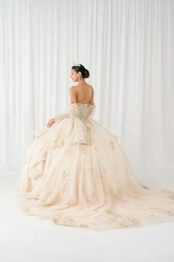 Cinderella Couture 8385JQ 3D Applique Lace Embo Beades On Tulle #4 default backface vertical thumbnail