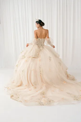 Cinderella Couture 8385JQ 3D Applique Lace Embo Beades On Tulle #7 backface vertical thumbnail