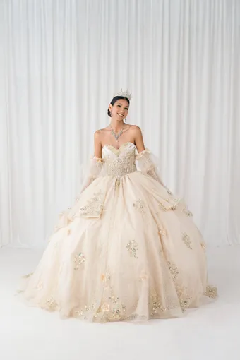 Cinderella Couture 8385JQ 3D Applique Lace Embo Beades On Tulle #3 frontface vertical thumbnail