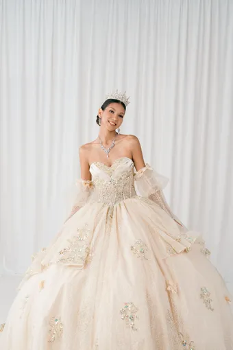 Cinderella Couture 8385JQ 3D Applique Lace Embo Beades On Tulle #13 frontface vertical cropped thumbnail