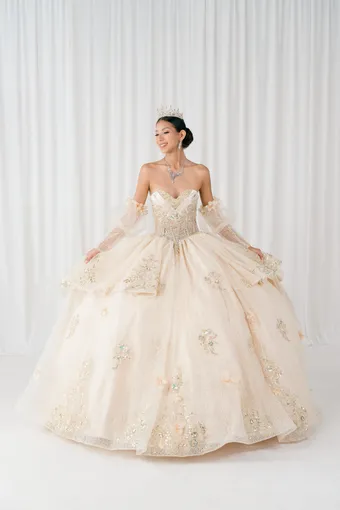 Cinderella Couture 8385JQ 3D Applique Lace Embo Beades On Tulle #2 frontface vertical thumbnail