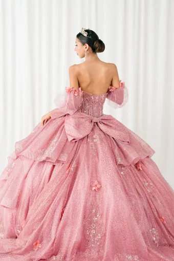 Cinderella Couture 8385JQ 3D Applique Lace Embo Beades On Tulle #5 backface vertical thumbnail