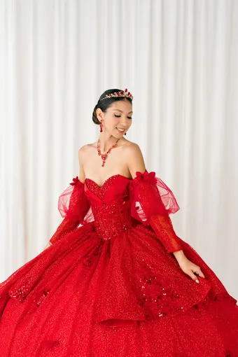 Cinderella Couture 8385JQ 3D Applique Lace Embo Beades On Tulle #10 frontface vertical cropped thumbnail