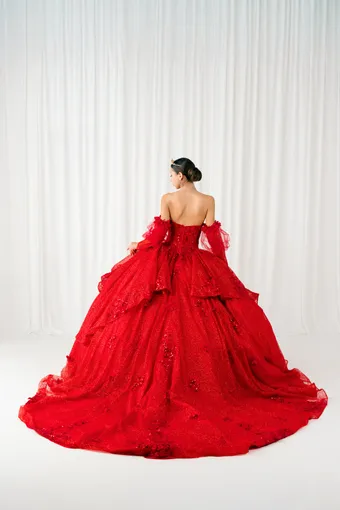 Cinderella Couture 8385JQ 3D Applique Lace Embo Beades On Tulle #6 backface vertical thumbnail