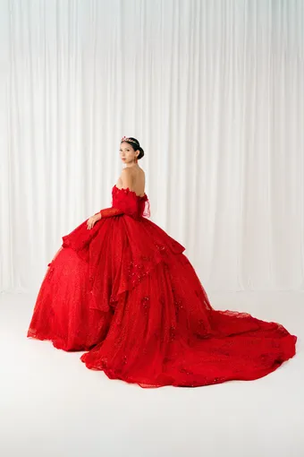 Cinderella Couture 8385JQ 3D Applique Lace Embo Beades On Tulle #8 backface vertical thumbnail