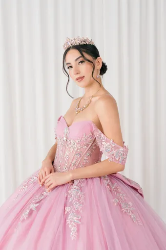 Cinderella Couture 8405JQ 3D Applique Lace Embo Beades On Tulle #9 frontface vertical cropped thumbnail