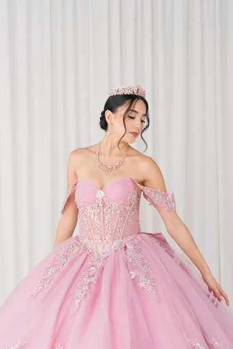 Cinderella Couture 8405JQ 3D Applique Lace Embo Beades On Tulle #11 frontface vertical cropped thumbnail