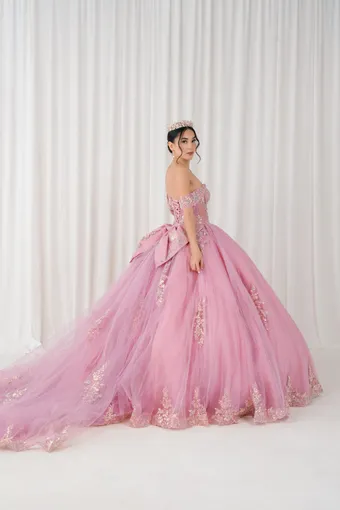 Cinderella Couture 8405JQ 3D Applique Lace Embo Beades On Tulle #5 default backface vertical thumbnail