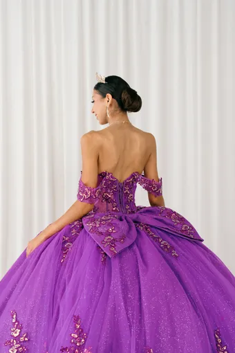 Cinderella Couture 8405JQ 3D Applique Lace Embo Beades On Tulle #13 backface vertical cropped thumbnail