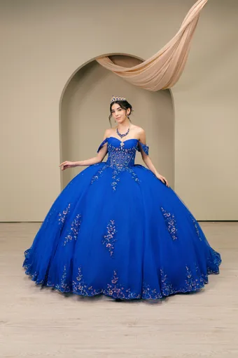 Cinderella Couture 8405JQ 3D Applique Lace Embo Beades On Tulle #3 frontface vertical thumbnail