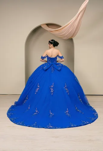 Cinderella Couture 8405JQ 3D Applique Lace Embo Beades On Tulle #6 backface vertical thumbnail