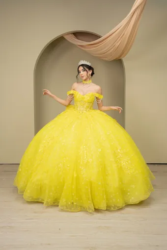 Cinderella Couture 8415JQ 3D Applique Lace Embo Beades On Tulle #0 default frontface vertical thumbnail