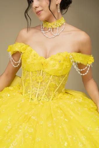 Cinderella Couture 8415JQ 3D Applique Lace Embo Beades On Tulle #3 frontface vertical cropped thumbnail