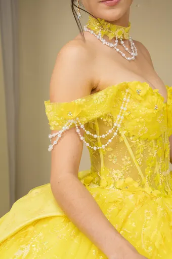 Cinderella Couture 8415JQ 3D Applique Lace Embo Beades On Tulle #2 frontface vertical cropped thumbnail