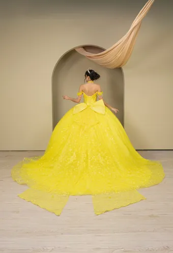 Cinderella Couture 8415JQ 3D Applique Lace Embo Beades On Tulle #1 default backface vertical thumbnail