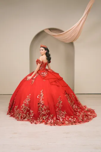 Cinderella Couture 8420JQ Gold 3D Applique Florals And Beads On Tulle #9 backface vertical thumbnail