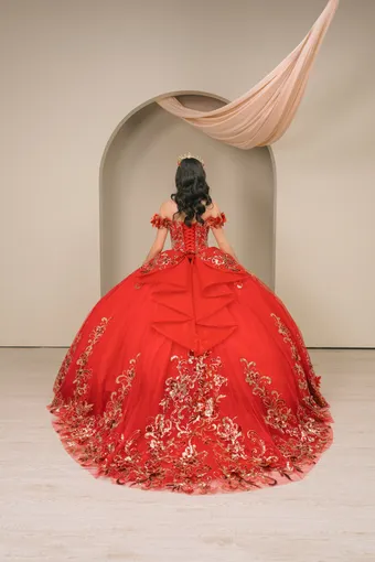 Cinderella Couture 8420JQ Gold 3D Applique Florals And Beads On Tulle #14 backface vertical thumbnail