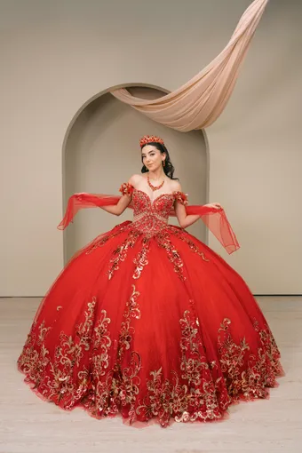 Cinderella Couture 8420JQ Gold 3D Applique Florals And Beads On Tulle #0 default frontface vertical thumbnail