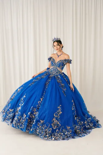 Cinderella Couture 8420JQ Gold 3D Applique Florals And Beads On Tulle #5 frontface vertical thumbnail