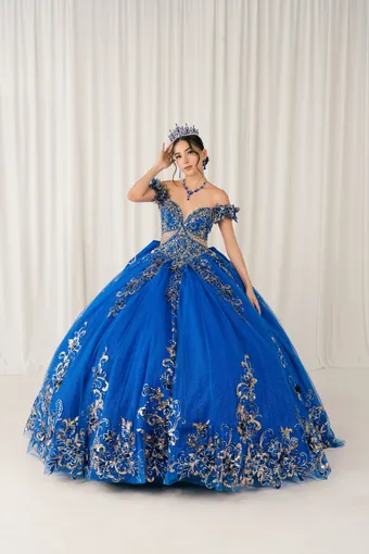 Cinderella Couture 8420JQ Gold 3D Applique Florals And Beads On Tulle #2 frontface vertical thumbnail