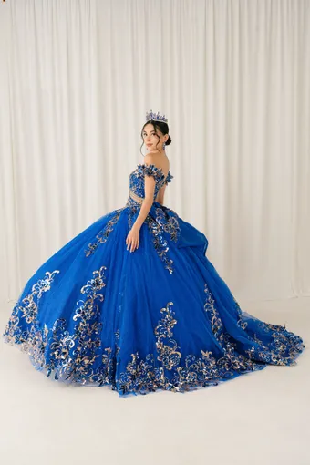 Cinderella Couture 8420JQ Gold 3D Applique Florals And Beads On Tulle #13 backface vertical thumbnail