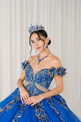 Cinderella Couture 8420JQ Gold 3D Applique Florals And Beads On Tulle #22 frontface vertical cropped thumbnail