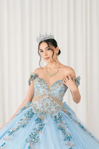 Cinderella Couture 8420JQ Gold 3D Applique Florals And Beads On Tulle #21 frontface vertical cropped thumbnail