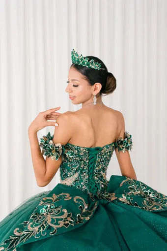 Cinderella Couture 8420JQ Gold 3D Applique Florals And Beads On Tulle #27 backface vertical cropped thumbnail