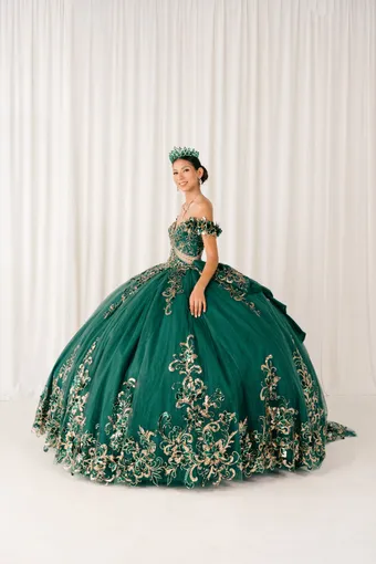 Cinderella Couture 8420JQ Gold 3D Applique Florals And Beads On Tulle #4 frontface vertical thumbnail