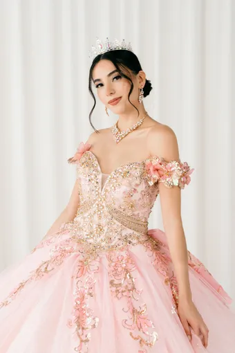 Cinderella Couture 8420JQ Gold 3D Applique Florals And Beads On Tulle #17 frontface vertical cropped thumbnail