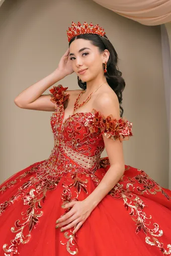 Cinderella Couture 8420JQ Gold 3D Applique Florals And Beads On Tulle #15 frontface vertical cropped thumbnail