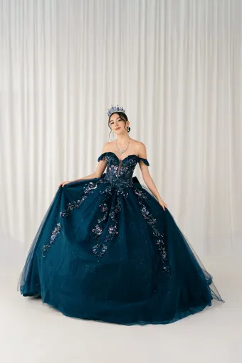 Cinderella Couture 8440JQ 3D Applique Lace Embo Beades On Tulle #0 default frontface vertical thumbnail