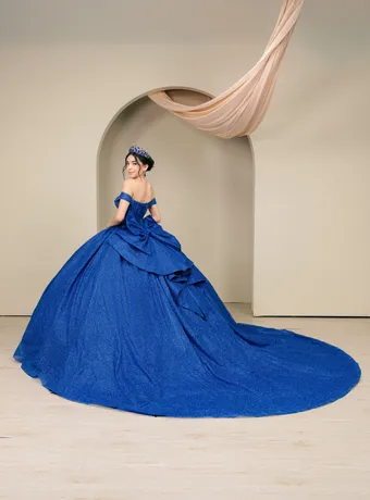 Cinderella Couture 8460JQ Rhinestone Beaded On Poly Glitter #4 backface vertical thumbnail