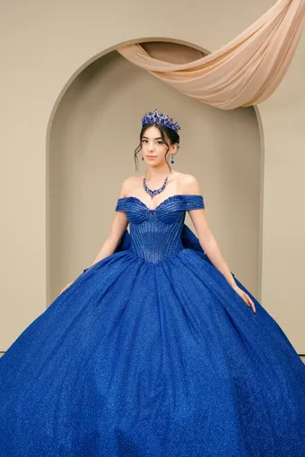 Cinderella Couture 8460JQ Rhinestone Beaded On Poly Glitter #8 frontface vertical cropped thumbnail