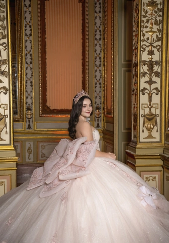 Perfect Dress 15 Style #AG380 #40 backface vertical cropped thumbnail