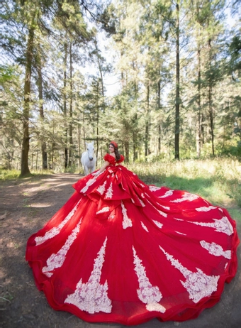 Perfect Dress 15 Style #AG382 #9 backface vertical thumbnail